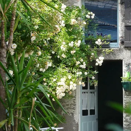 Topaze Chez Le Vigneron Monnieres (Loire-Atlantique)
